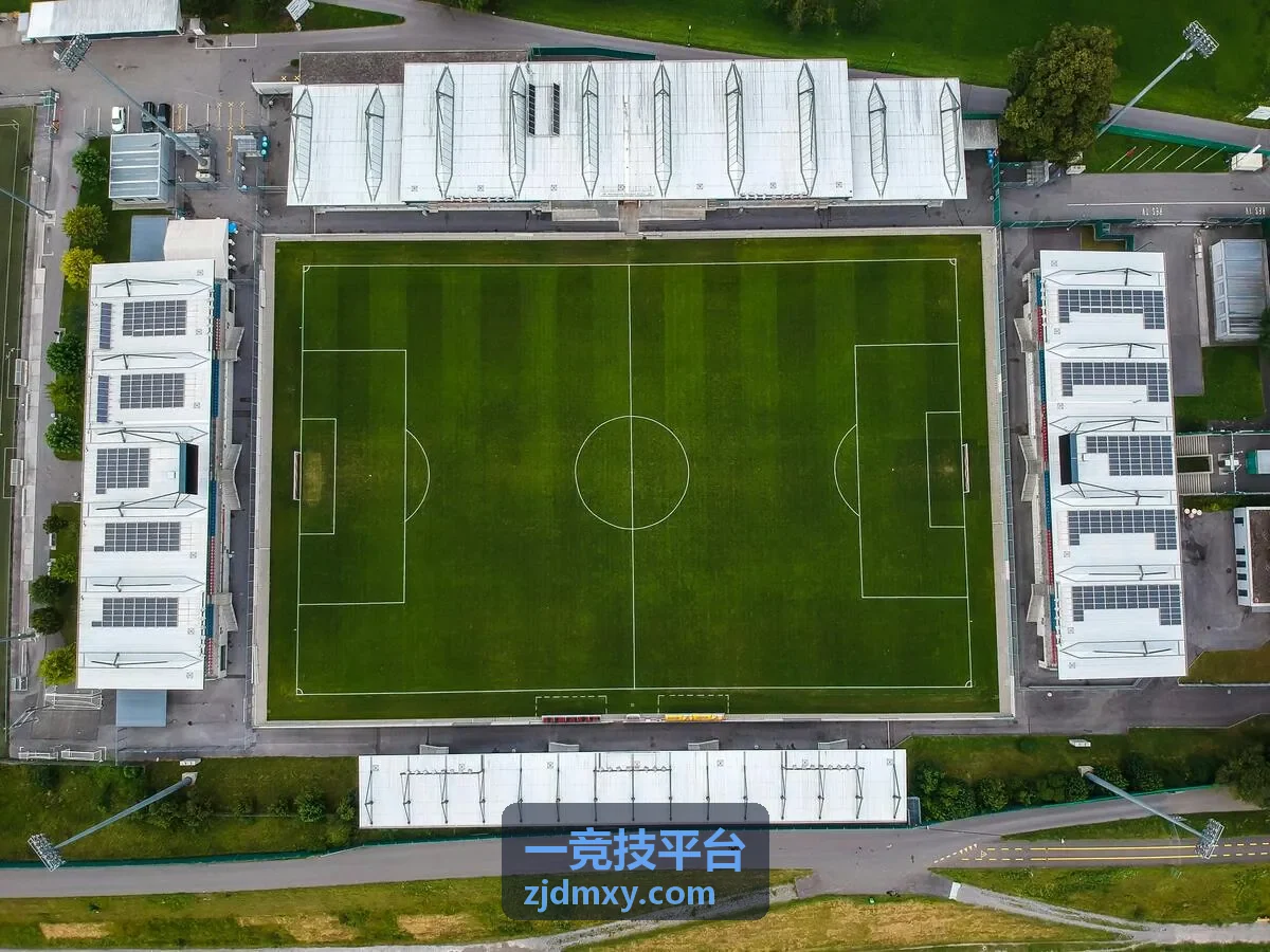 一竞技平台线上联赛