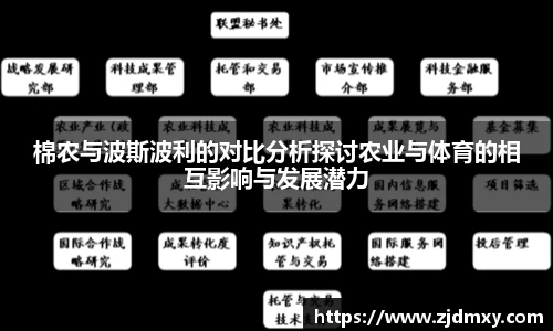 棉农与波斯波利的对比分析探讨农业与体育的相互影响与发展潜力