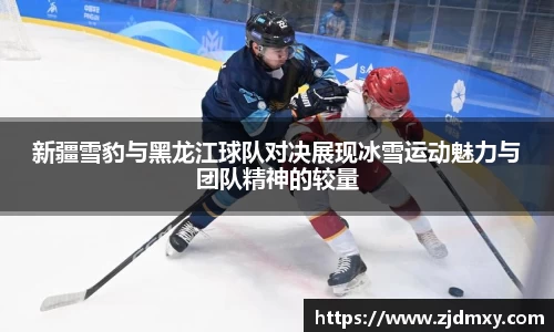 新疆雪豹与黑龙江球队对决展现冰雪运动魅力与团队精神的较量